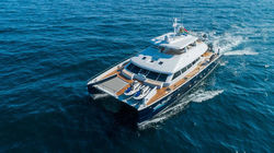Two Oceans 850E Power Catamaran